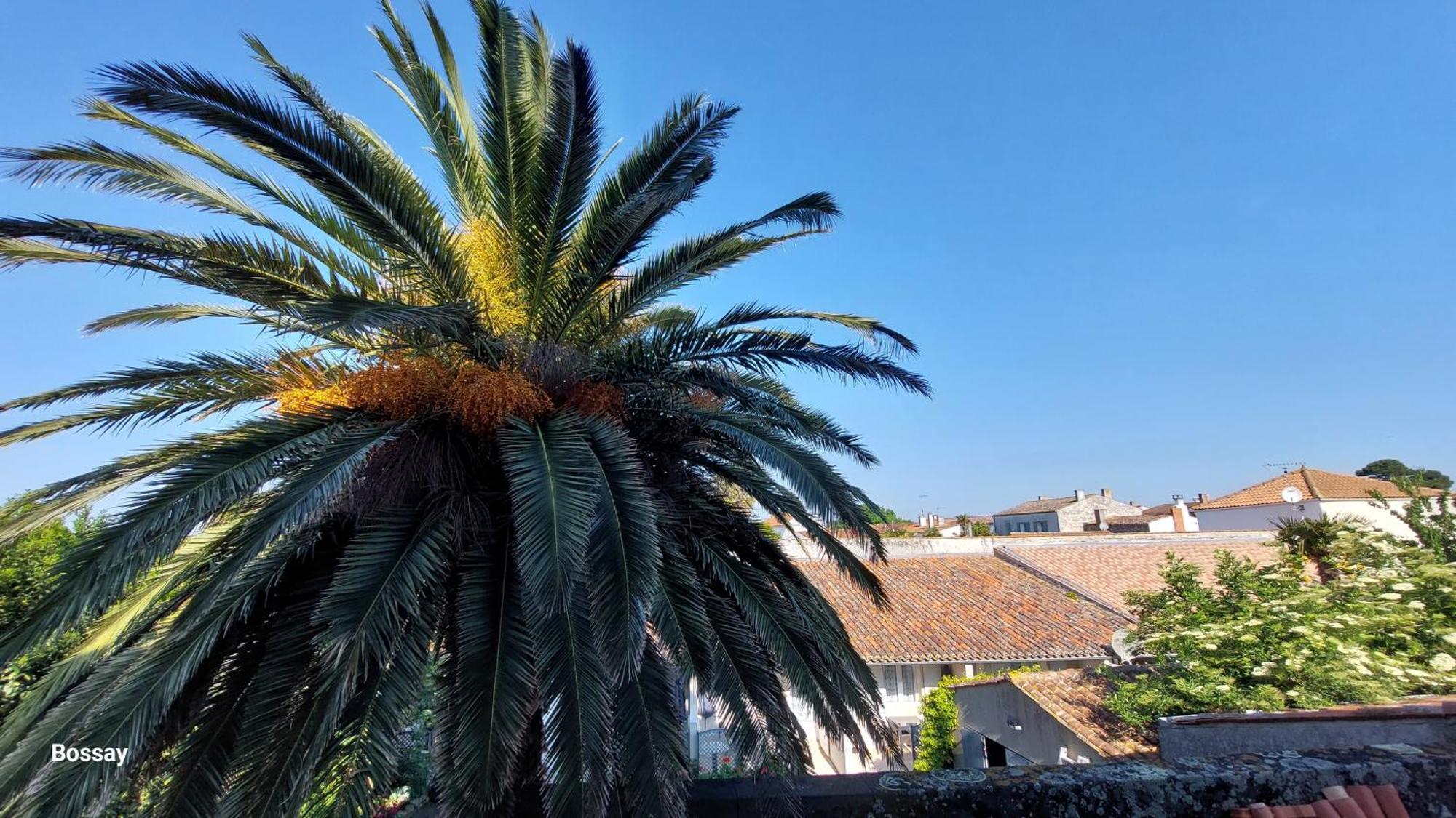 Chambres D'Hotes L'Insulaire Saint-Denis-dʼOléron Kültér fotó